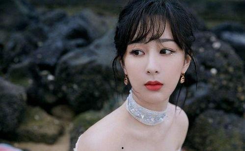 杨紫小说爆料视频合集,揭秘幕后故事与精彩片段 第1张 杨紫小说爆料视频合集,揭秘幕后故事与精彩片段 第1张