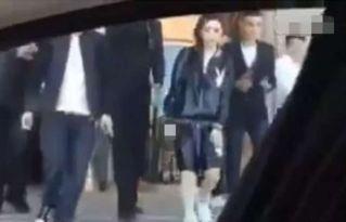 李晨爆料松鼠事件视频,真相令人震惊  第2张